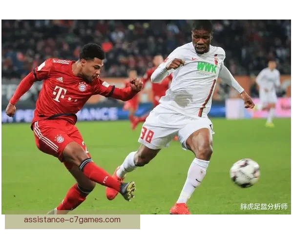 奥格斯堡俱乐部：德国足球新兴力量的崛起与挑战